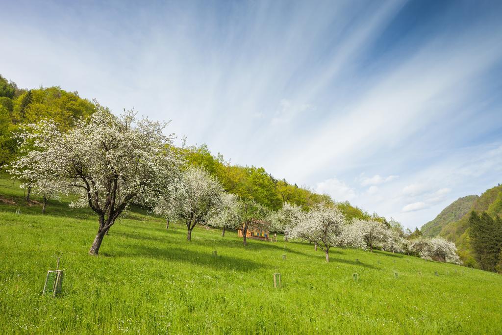 Farm stay Tourist Farm Zelinc