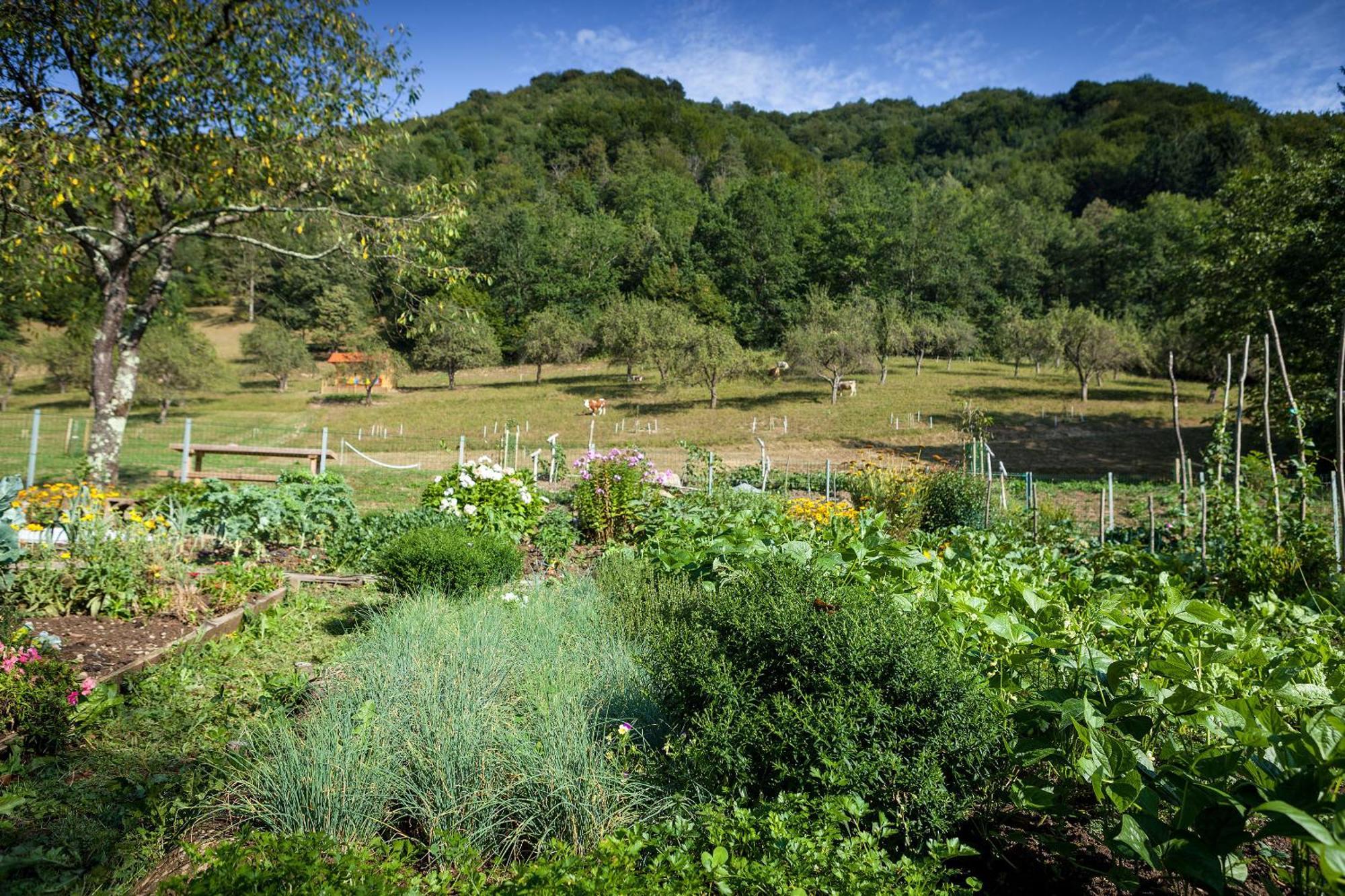 Tourist Farm Zelinc Farm stay Cerkno