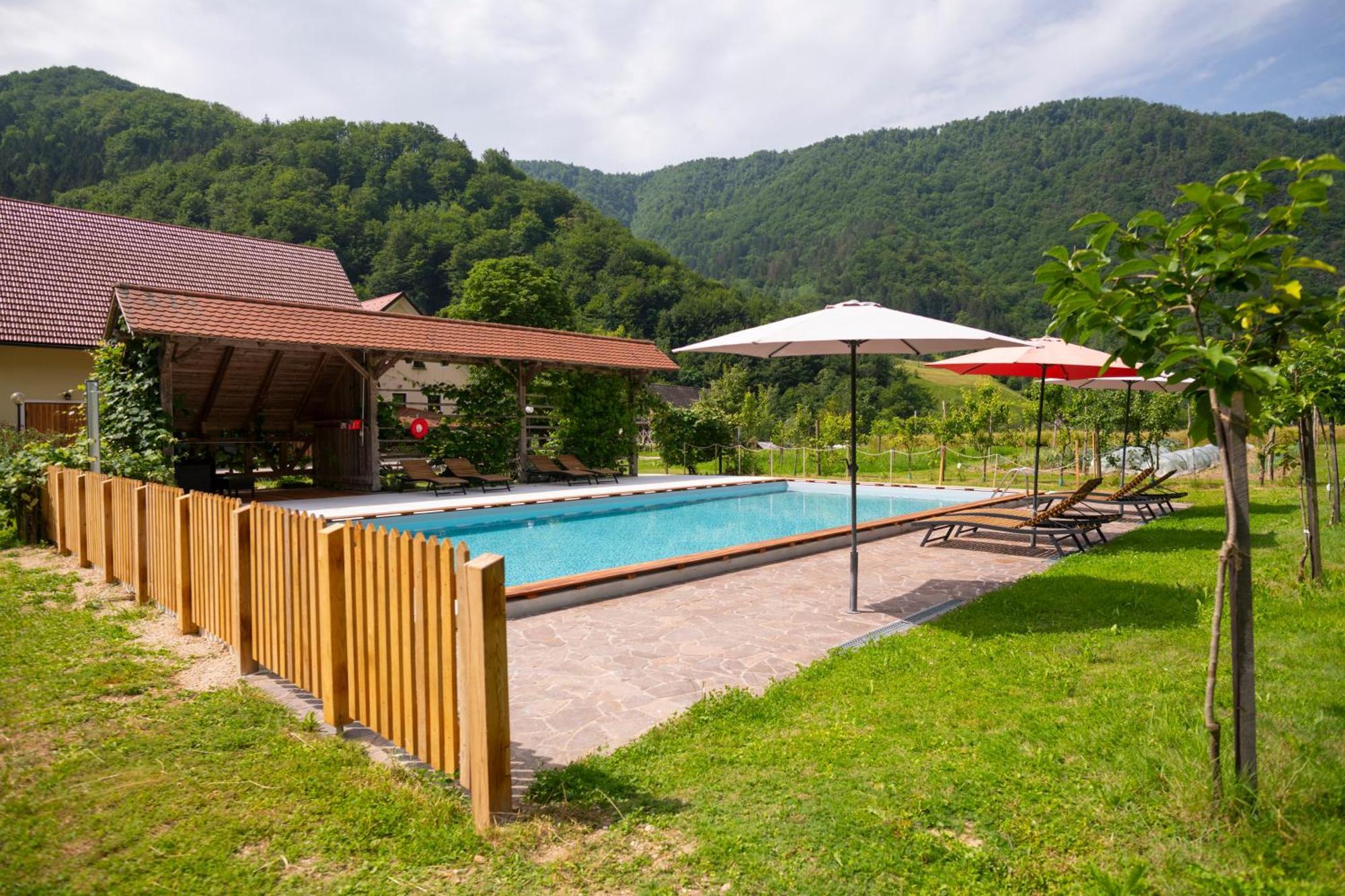 Tourist Farm Zelinc Farm stay