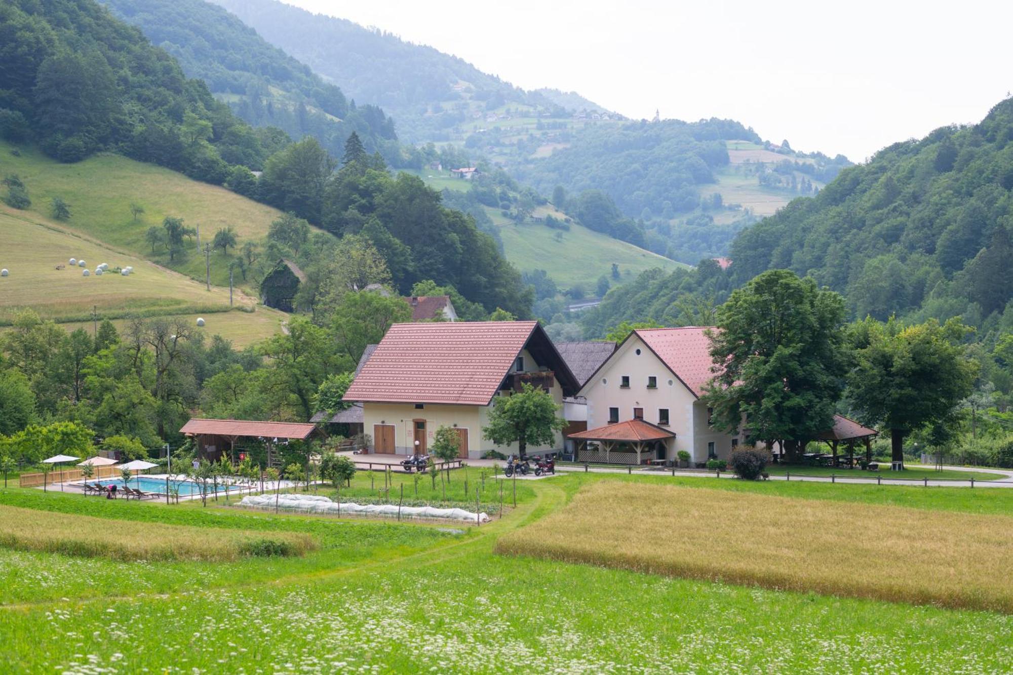 Tourist Farm Zelinc Farm stay *